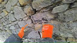 acastle
                          103270.jpg